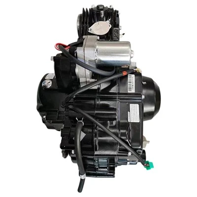 Động cơ 110cc 4 bánh cho xe đạp bụi bẩn